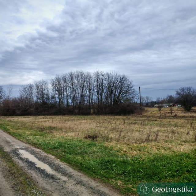https://gzhaxpeurpuemedskgsg.supabase.co/storage/v1/object/public/properties_gallery/properties/0.7702915712839746-image-XWRR344311-4-2.jpg